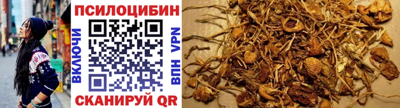 Псилоцибиновые грибы ЛСД  Соль-Илецк 