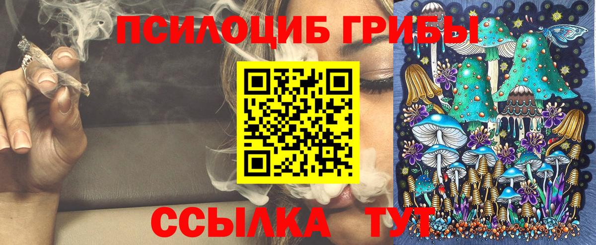 Галлюциногенные грибы ЛСД  Вход с VPN  Соль-Илецк 