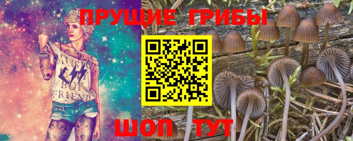 Соль-Илецк  Галлюциногенные грибы Magic Shrooms  Вход с VPN  Псилоцибиновые грибы GOLDEN TEACHER 